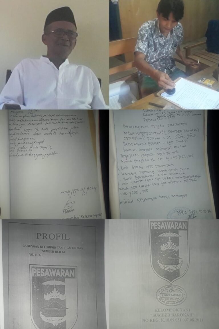 WhatsApp Image 2026-02-15 at 00.05.27